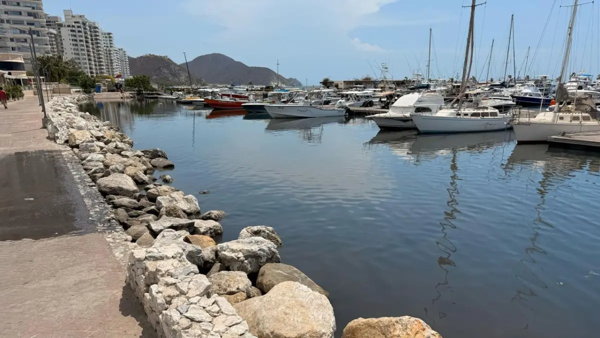 ¿Es seguro bañarse en las playas de Santa Marta? Procuraduría exige estudios urgentes después de quejas de lesiones de la piel

 – Tinta clara