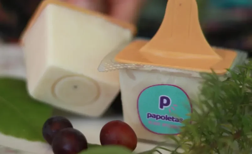 Con el helado Achirevi, Papoletas estará en el estado de ánimo +2025 que quiere ser un lugar para reunirse con una economía popular y solidaria

 – Tinta clara