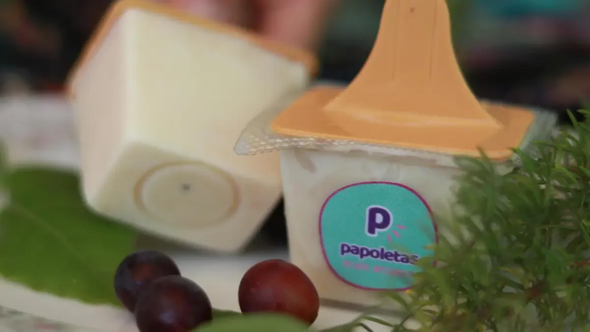 Con el helado Achirevi, Papoletas estará en el estado de ánimo +2025 que quiere ser un lugar para reunirse con una economía popular y solidaria

 – Tinta clara