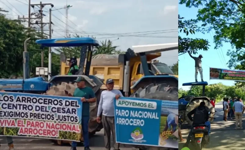 Arresto de arroz en Colombia El gobierno está obligado a establecer el precio mínimo de arroz y los detalles de otros puntos adquiridos

 – Tinta clara