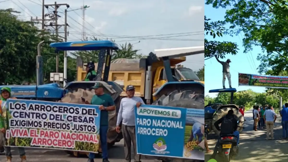 Arresto de arroz en Colombia El gobierno está obligado a establecer el precio mínimo de arroz y los detalles de otros puntos adquiridos

 – Tinta clara