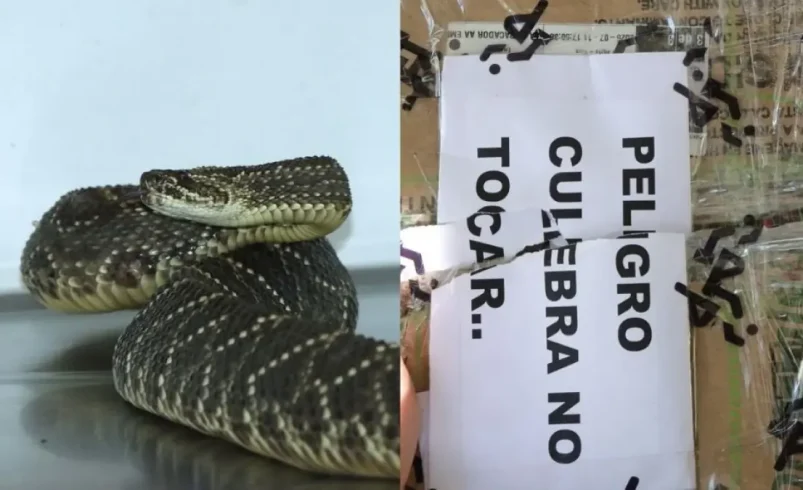 Ponen señal de advertencia para la caja

 – Tinta clara