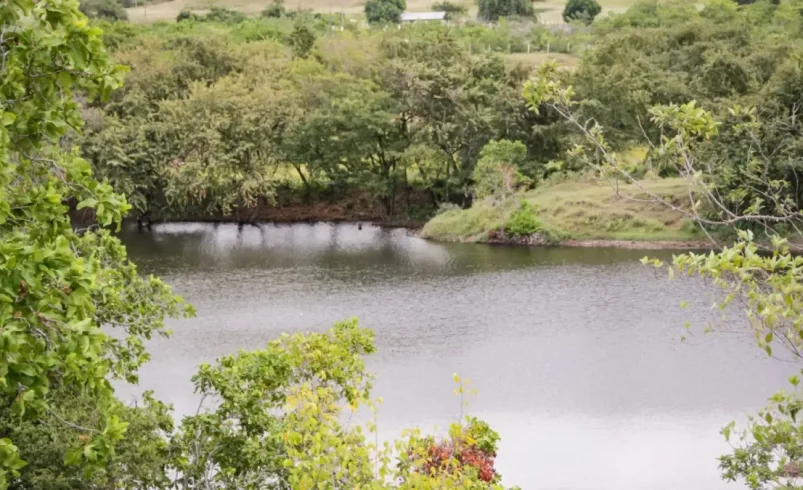 En la crisis de los bajos precios del arroz, los productores de Tolima solicitan un ajuste en la fórmula que establece la recolección de la tasa de agua (tua)

 – Tinta clara