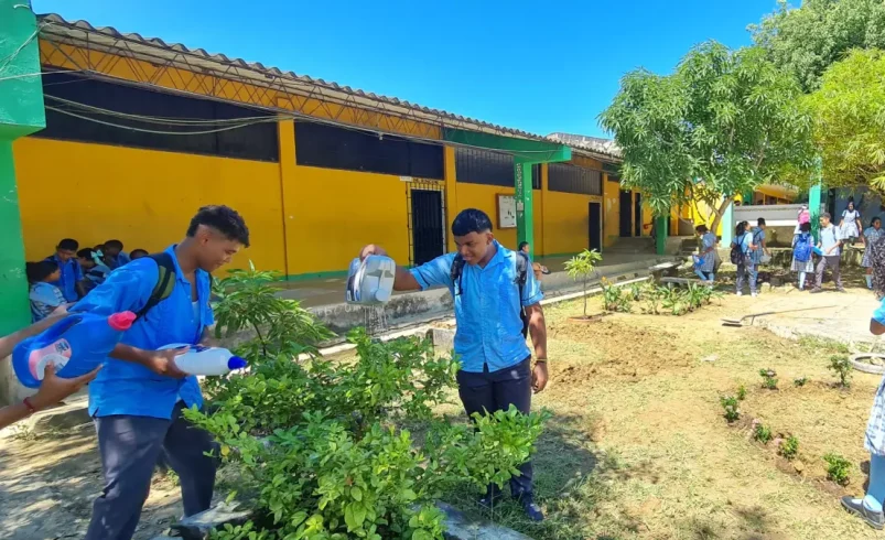En Bolívar, un maestro convierte las áreas verdes olvidadas en un aula al aire libre que combina geometría, ecología, arte y tecnología con visión STEM

 – Tinta clara