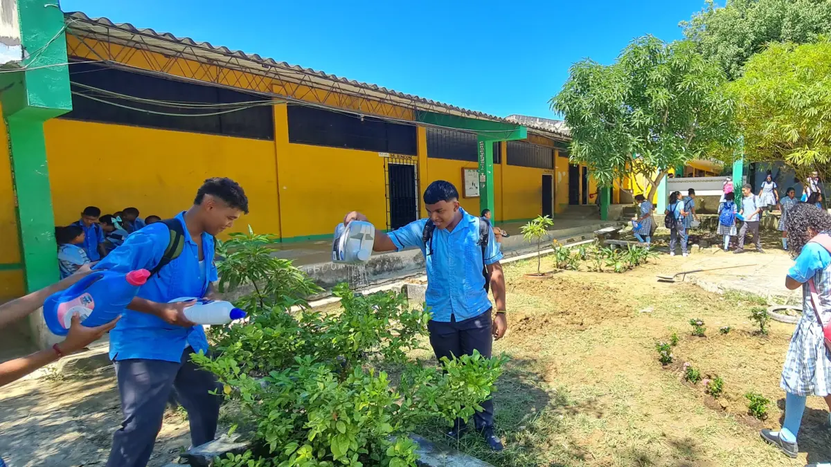 En Bolívar, un maestro convierte las áreas verdes olvidadas en un aula al aire libre que combina geometría, ecología, arte y tecnología con visión STEM

 – Tinta clara