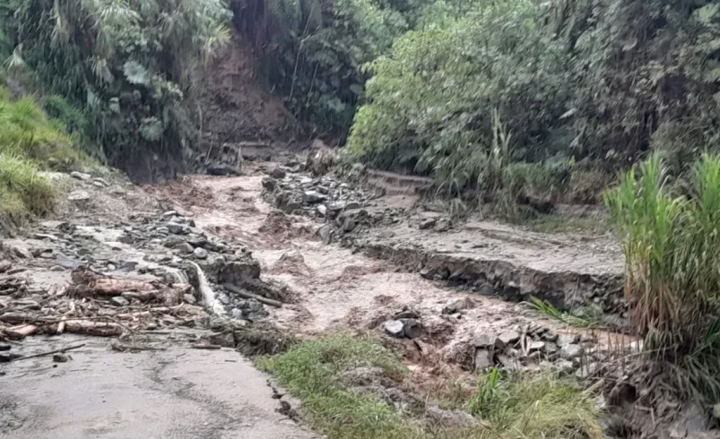 Hay pérdida de puentes, carreteras y casas.

 – Tinta clara