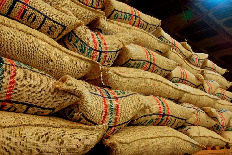 El precio del café aumenta en los mercados internacionales para las amenazas de Trump para Brasil, ¿cómo impacta Colombia? – EXTRA

 – Tinta clara