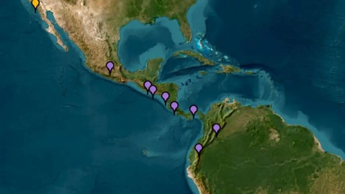UNGRD ordenó la evacuación del tsunami a los municipios en la costa del Pacífico de Colombia después de la magnitud 8.8 en Rusia

 – Tinta clara