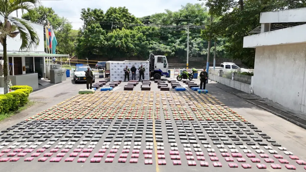 Ya hay 22 toneladas de convulsiones en el departamento, hasta ahora este 2025

 – Tinta clara