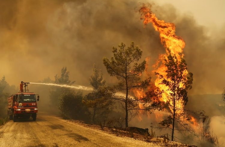 Incendios en Türkiye: más de 50,000 evacuados en ̇zmir – 

 – Tinta clara