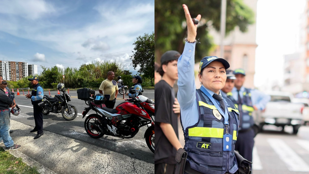 ¡Evite las multas! Pico y placa en Pereira para el viernes 29 de agosto de 2025

 – Tinta clara