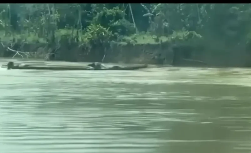 Fuerzas navales Ataque frustrado con un barco explosivo en el río Guaviare: no se registran víctimas

 – Tinta clara