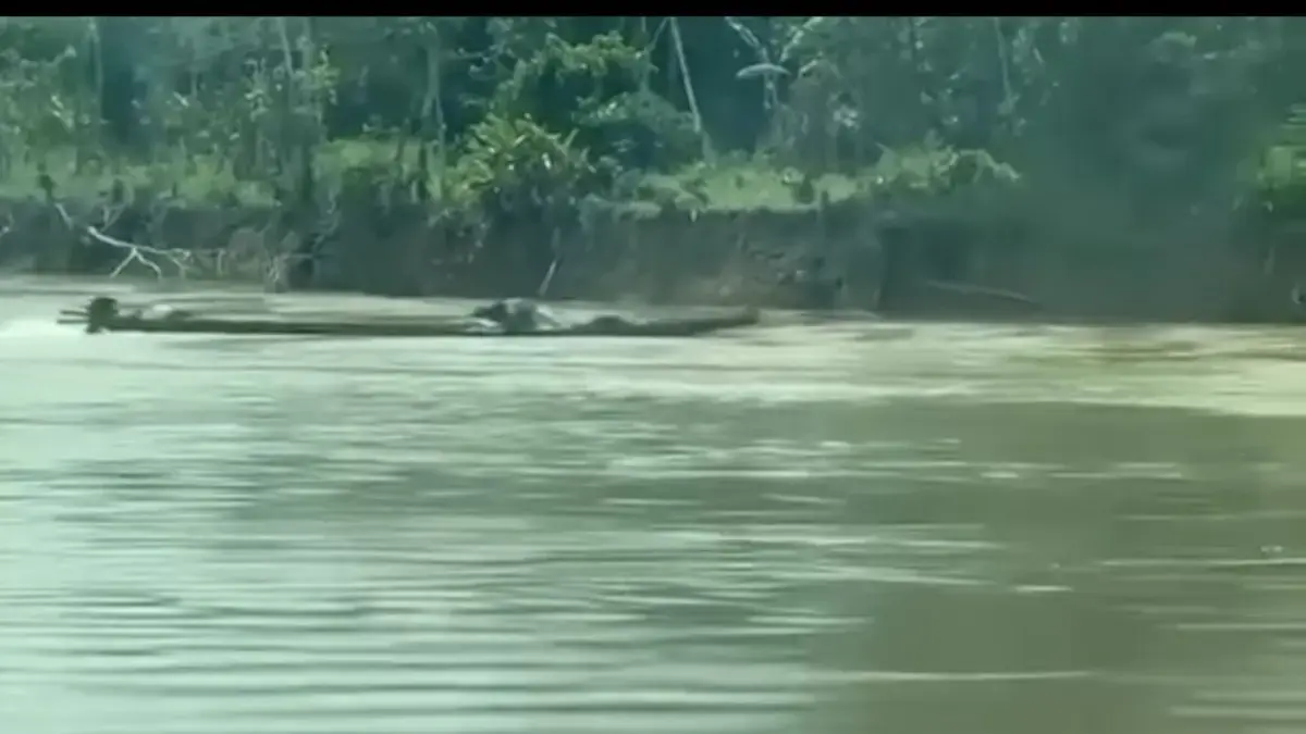 Fuerzas navales Ataque frustrado con un barco explosivo en el río Guaviare: no se registran víctimas

 – Tinta clara