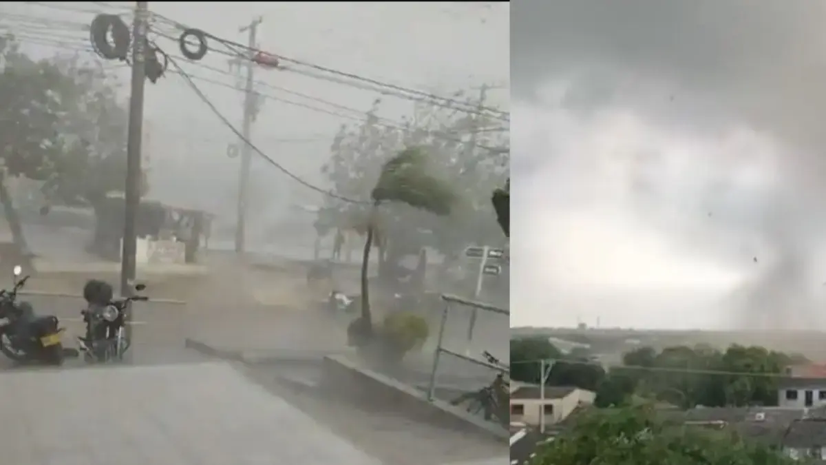 La tormenta devastadora causa una emergencia en el municipio de Soledad: casas de destete, árboles caídos y cortes de energía

 – Tinta clara