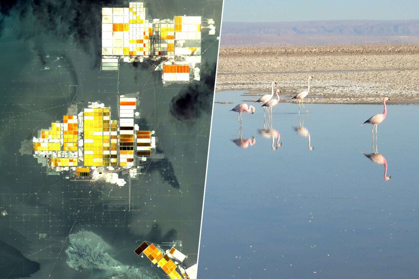 Cómo el desierto de Atacama muestra el precio ecológico de la descarbonización

 – Tinta clara