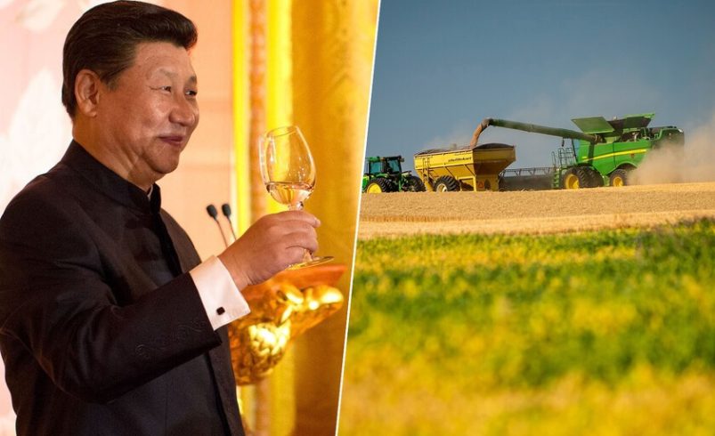 Estados Unidos lanzó un pulso a China con los aranceles y China ha respondido no comprar soja. Está causando estragos

 – Tinta clara