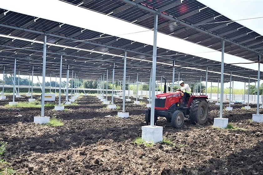 India necesita más cultivos y energía solar que cualquier otro país. Entonces está instalando paneles solares en altura

 – Tinta clara