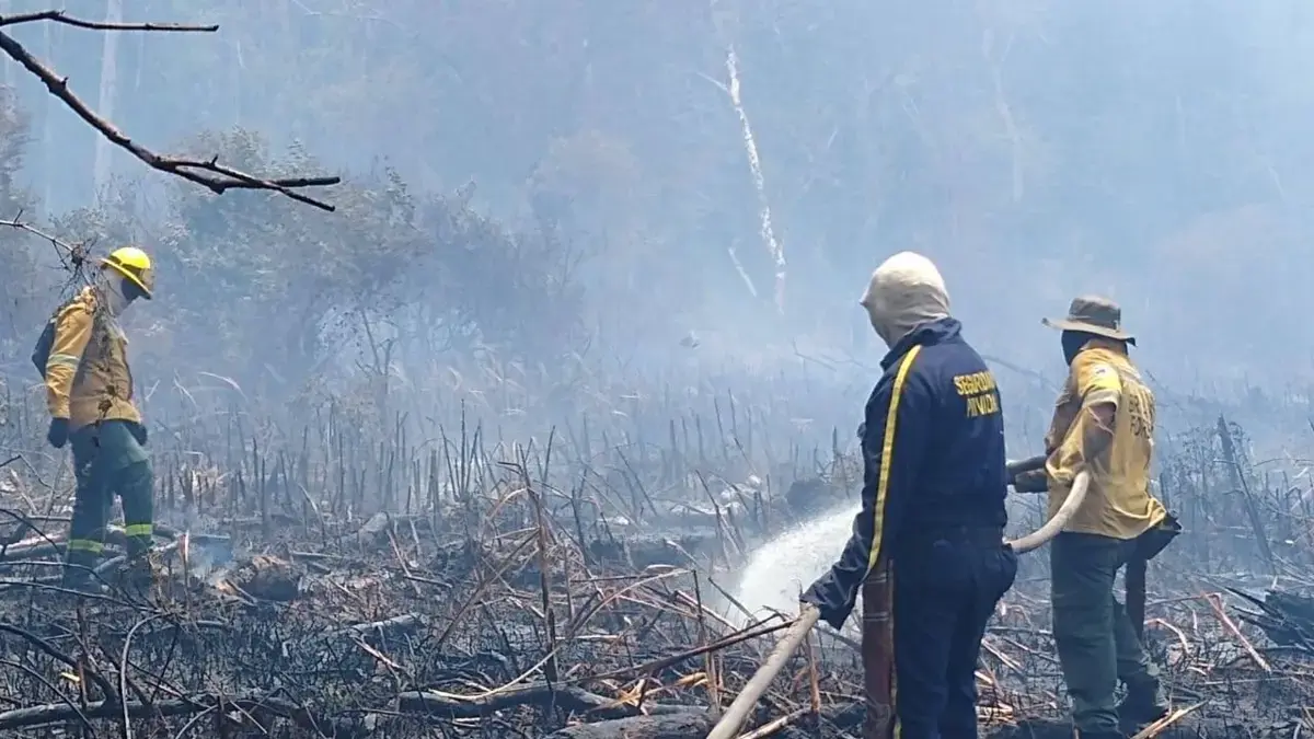 Isla Salamanca, la reserva natural que ya ha perdido más de 1,130 hectáreas debido al fuego

 – Tinta clara