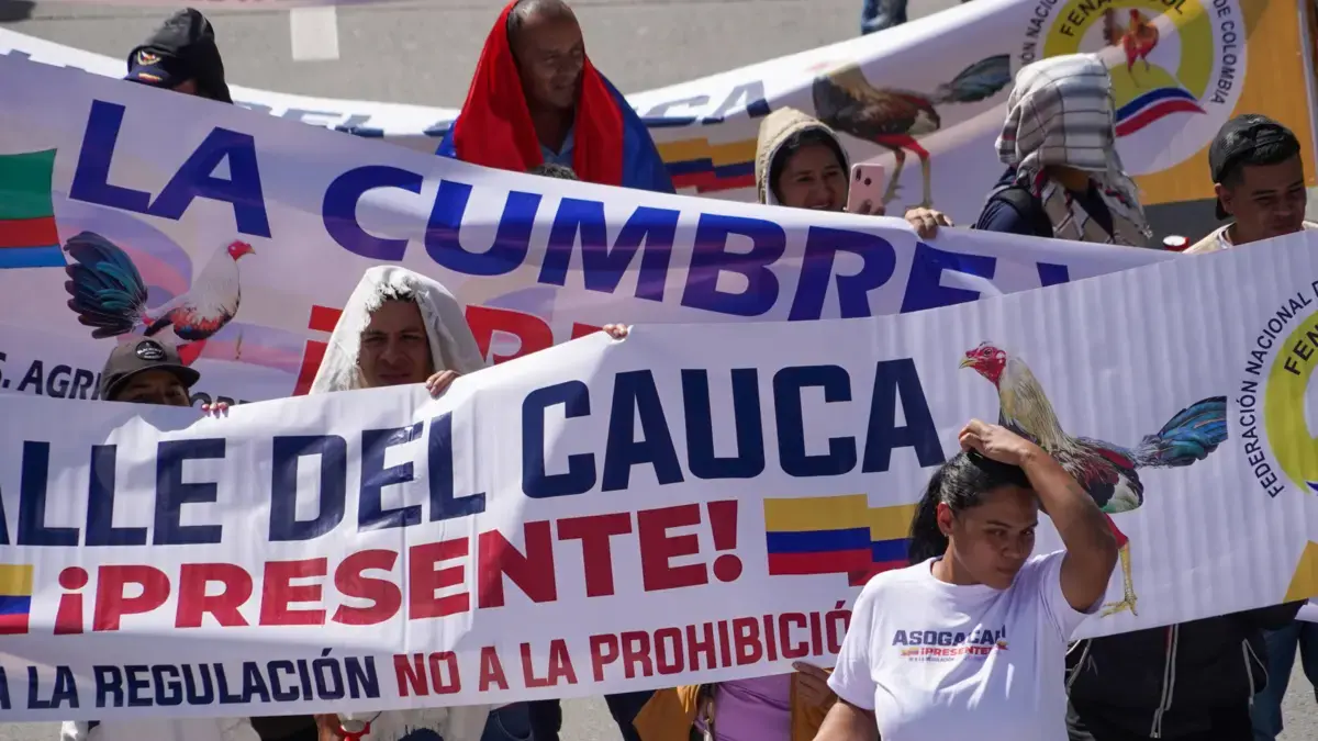 ¿Qué dicen en el valle frente al tribunal constitucional para prohibir las peleas de gallo, medir que cubra las corridas de toros?

 – Tinta clara