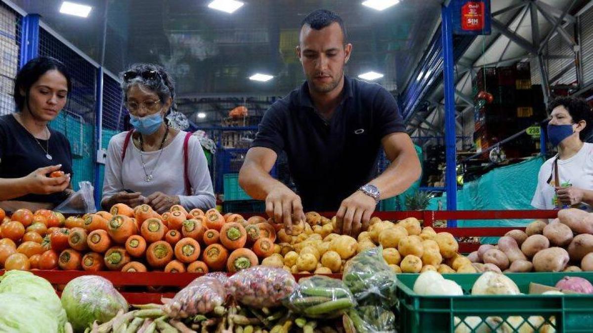 Los impactos para el salario mínimo y la reforma fiscal en la inflación podrían haber

 – Tinta clara