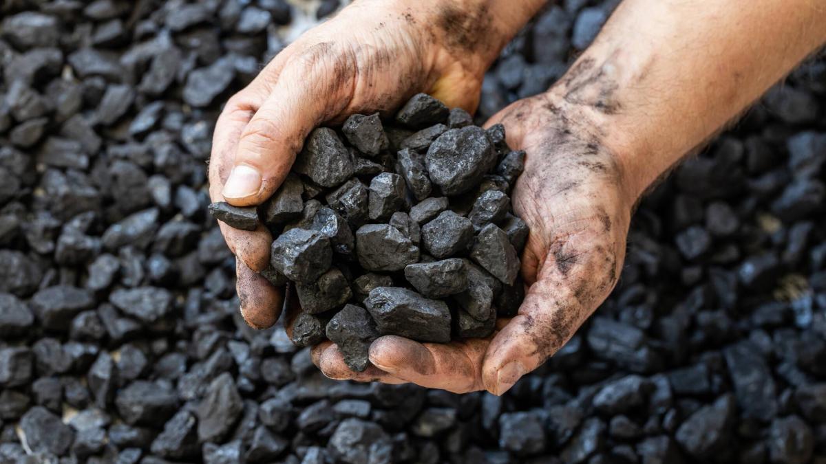 Carbon Company lanzó una propuesta de financiamiento

 – Tinta clara