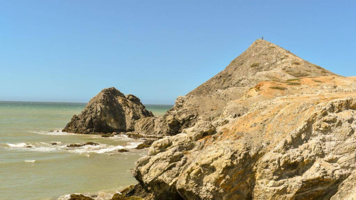 Encuentran dos cuerpos con signos de violencia en una playa.

 – Tinta clara