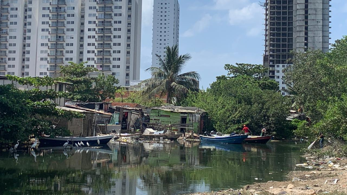 Cartagena comienza en octubre la política pública para legalizar más de 200 asentamientos y detener la invasión de tierras y manglares

 – Tinta clara