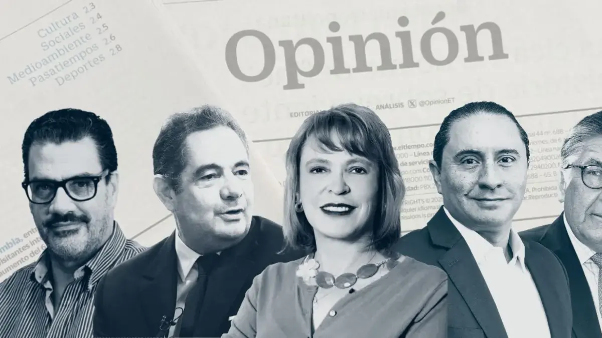 Tiempo ahora avanza las columnas de opinión del domingo: de esta manera puede registrarse

 – Tinta clara