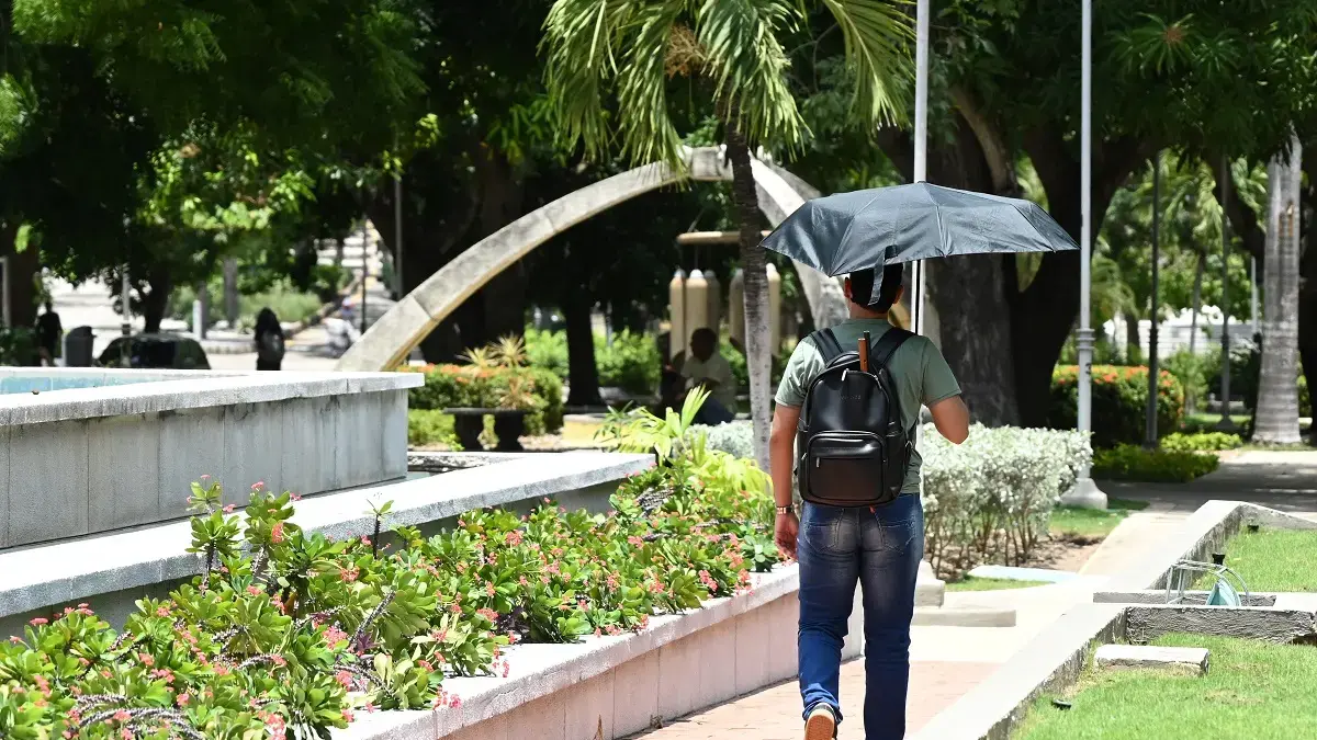 Con drones, inventarios de árboles y mediciones de calor, en Barranquilla diseñan una aplicación para caminar sobre rutas sombreadas durante la ola de calor

 – Tinta clara
