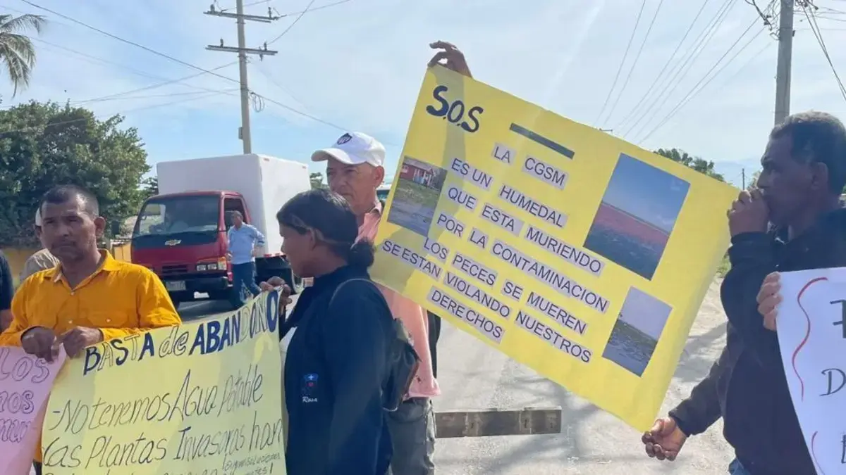 Nueva Venecia, atrapada entre agua y malas hierbas: la gente de Palafito que podría desaparecer

 – Tinta clara