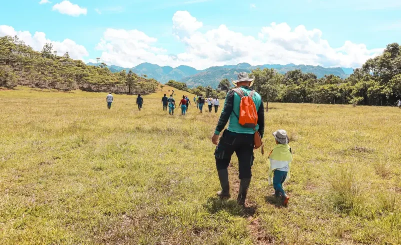 Peace Linadores Del Doncello, en Caquetá, recibió 235 hectáreas de tierra para sembrar un futuro lejos del conflicto

 – Tinta clara