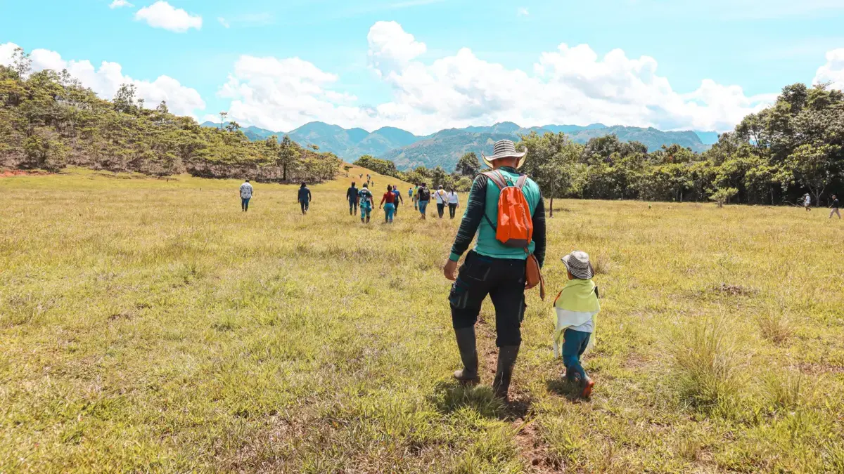 Peace Linadores Del Doncello, en Caquetá, recibió 235 hectáreas de tierra para sembrar un futuro lejos del conflicto

 – Tinta clara