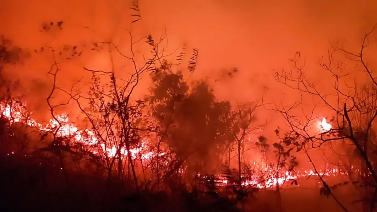 Reportan el incendio forestal de Voraz en Dolores, Tolima; Los habitantes piden ayuda de los bomberos para sofocar las llamas: «Hay nacimientos de nacimientos»

 – Tinta clara