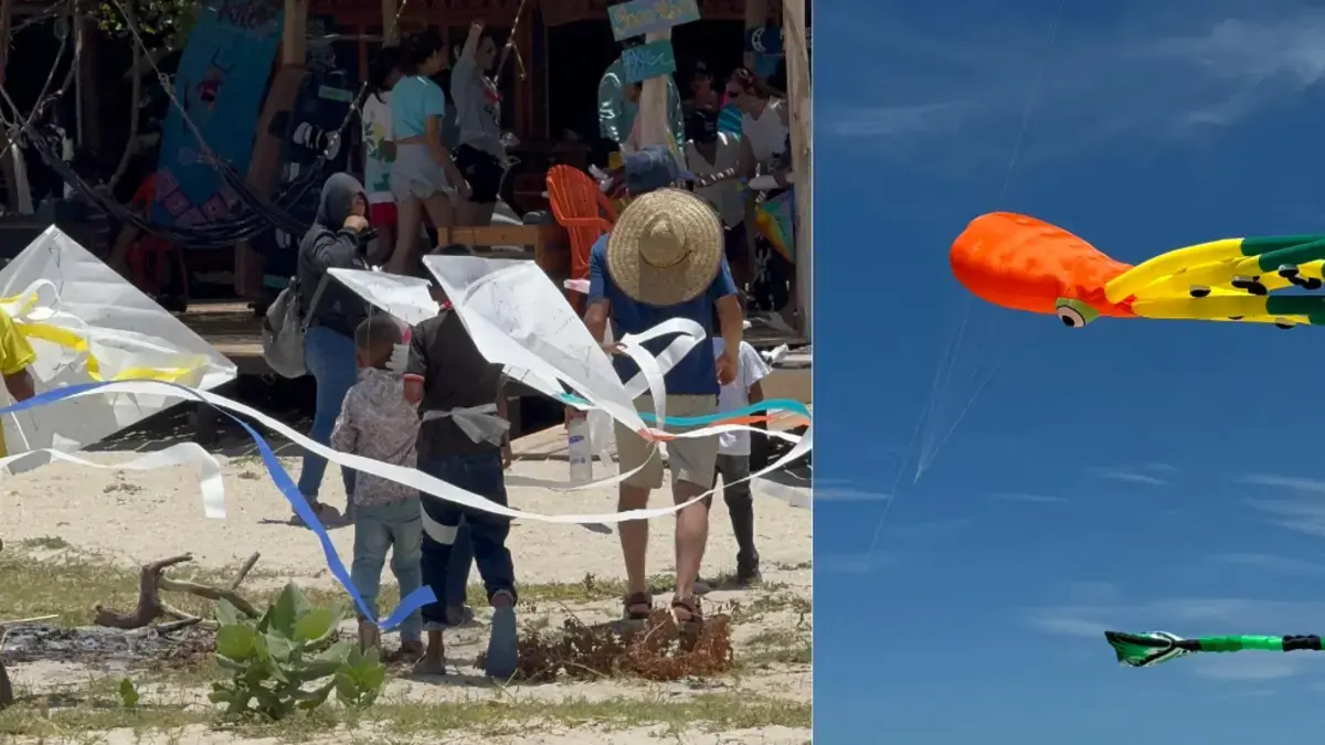 Así es como las ilusiones de muchos niños Wayuu volaron por el aire

 – Tinta clara