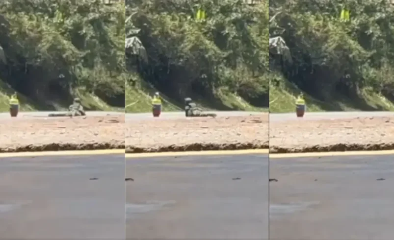 La acción del soldado heroico del ejército nacional que verificó el posible dispositivo explosivo de los disidentes de la manera panamericana, en Cauca

 – Tinta clara