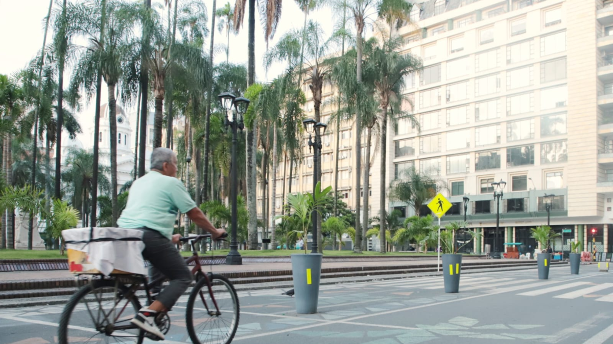 Día sin automóvil y sin motocicleta en Cali

 – Tinta clara