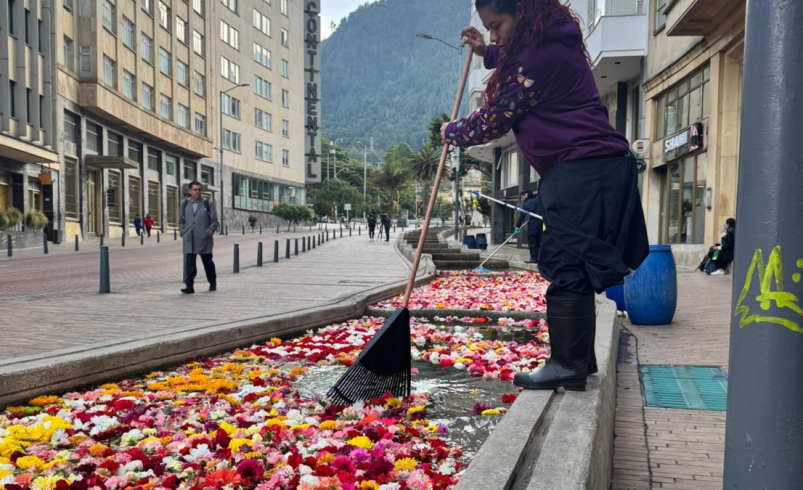 Así, 150,000 flores se transforman en fertilizante

 – Tinta clara