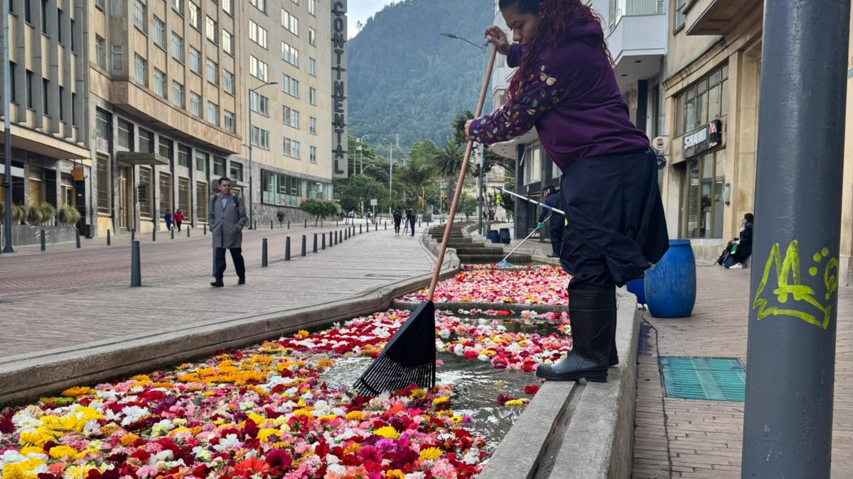 Así, 150,000 flores se transforman en fertilizante

 – Tinta clara