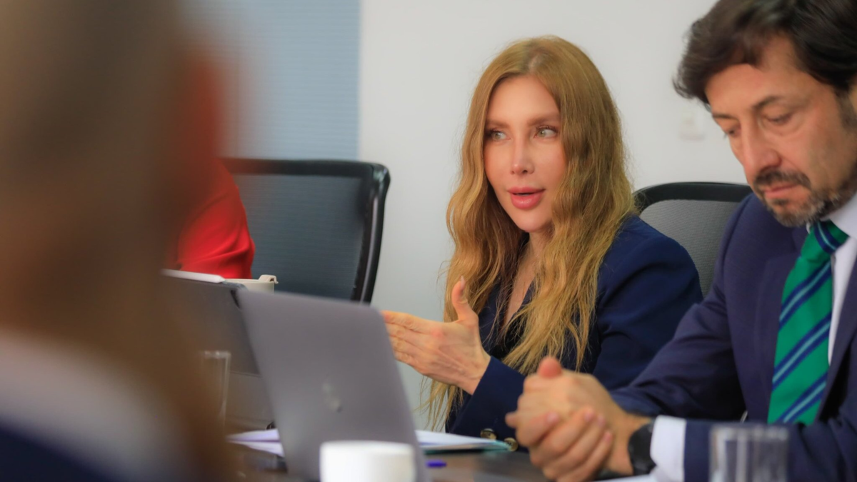 ¿Descertificación de Estados Unidos a Colombia afectará las negociaciones sobre arancel del 10 %? Entrevista a la ministra de Comercio – Tinta clara