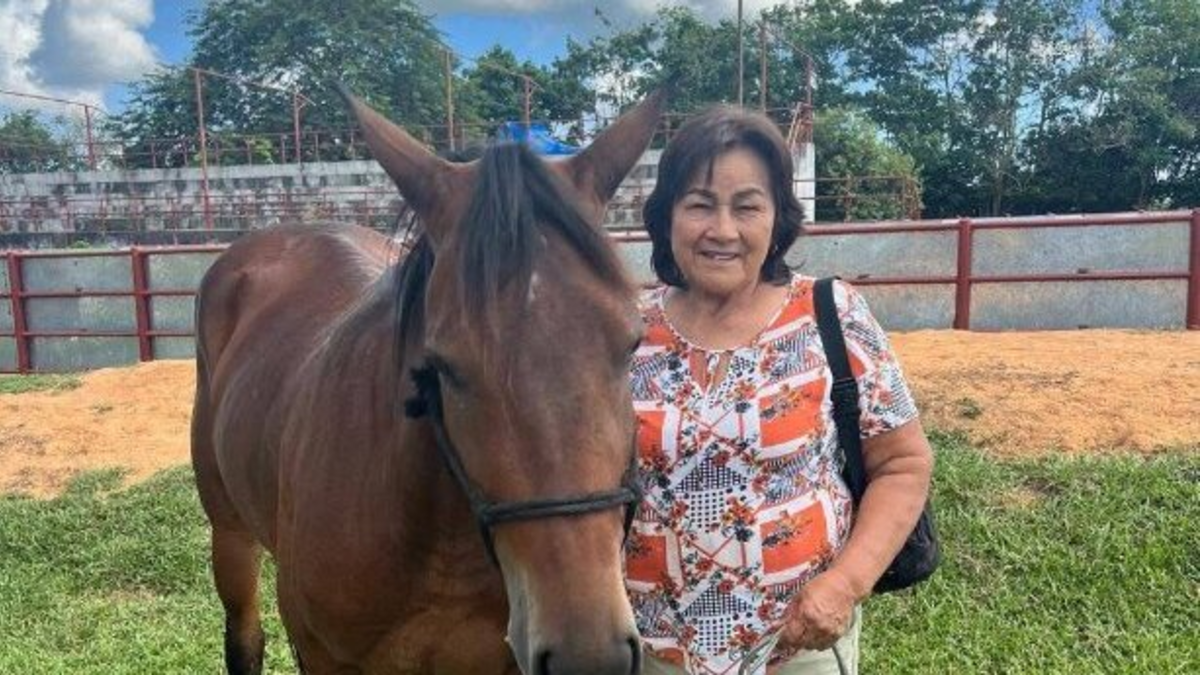 Ingresan en la granja de poro (Casanare) y secuestran a María Cenobia Tibabuiza, madre del ex alcalde Cristina Guarnizo; Su esposo ya había sido plagiado

 – Tinta clara