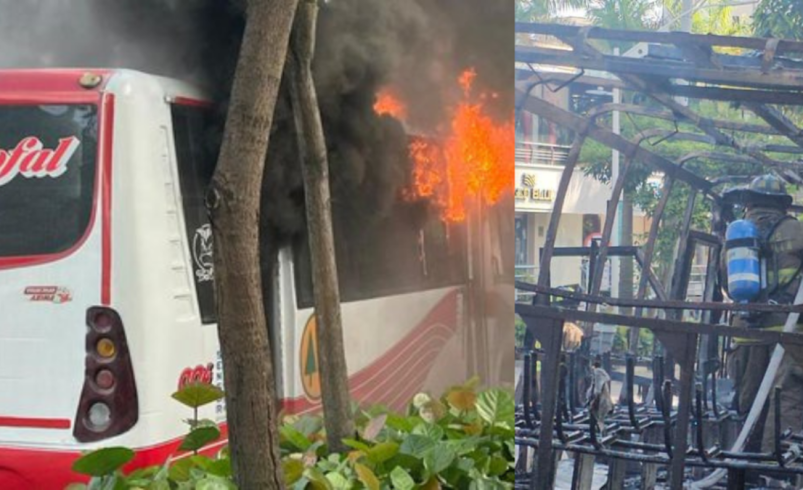 Coocchofal Bus se incineró por completo en una carretera pública completa

 – Tinta clara