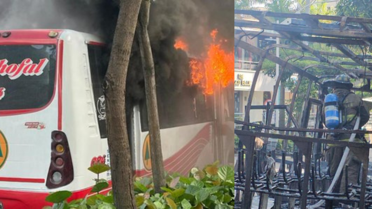 Coocchofal Bus se incineró por completo en una carretera pública completa

 – Tinta clara