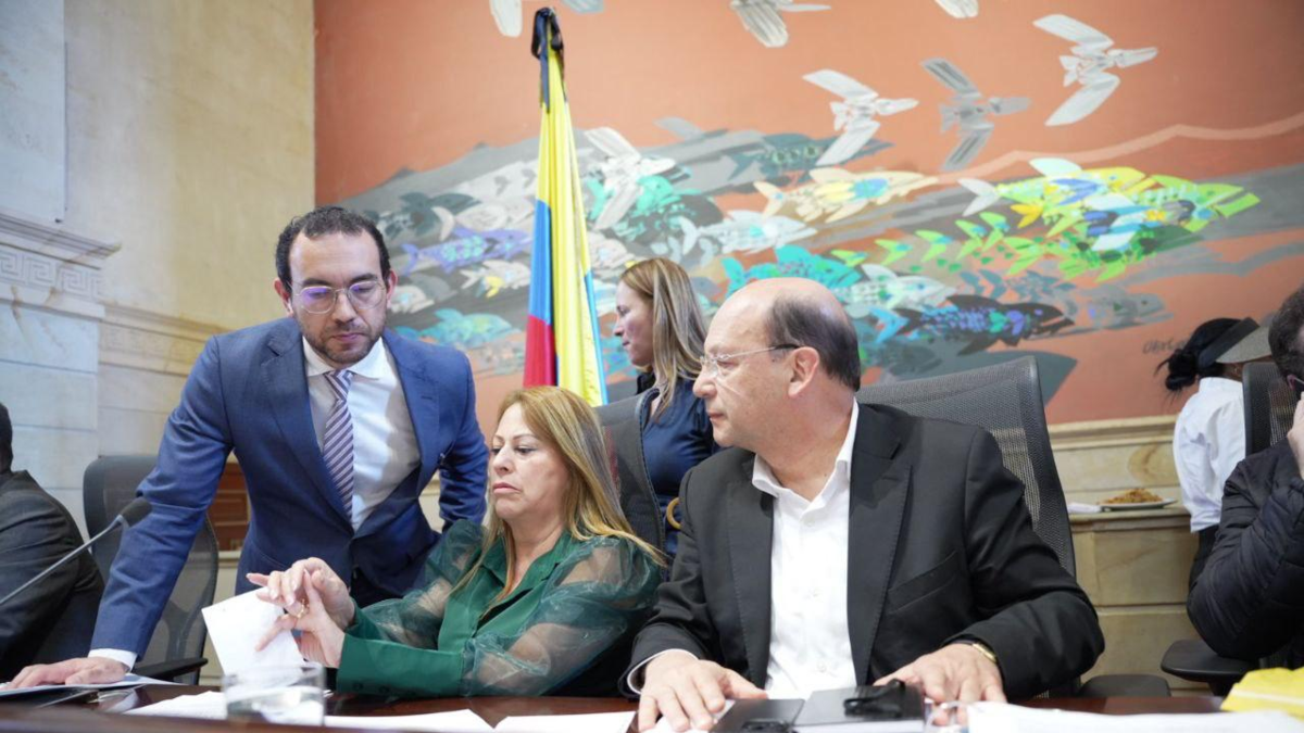 Este sería un presupuesto de 2026. Año y reformas fiscales recortadas para tomar el gobierno de Petro

 – Tinta clara
