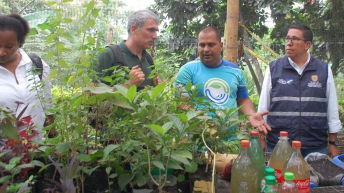 Public Colleges of Cali implementará Presidente Ambiental que integre matemáticas, física y química con sostenibilidad

 – Tinta clara
