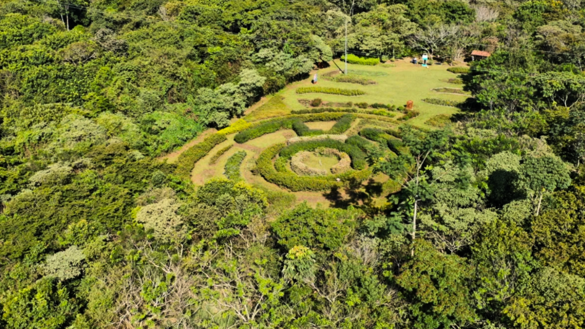 Pance abre las puertas de la Cop16 Biodiversity Ecopark en su totalidad: horarios, capacidad y registros

 – Tinta clara