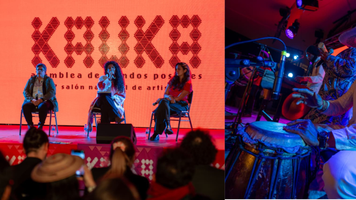 Los recuerdos y el conocimiento de Cauca se reunirán en el 47º Salón Nacional de Artistas – Kauka entre diciembre y octubre de 2025

 – Tinta clara