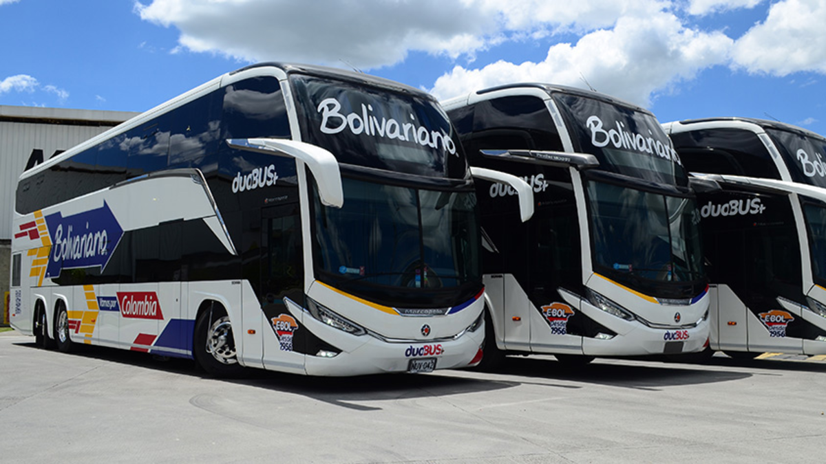 20% de descuento en la semana de viajes

 – Tinta clara