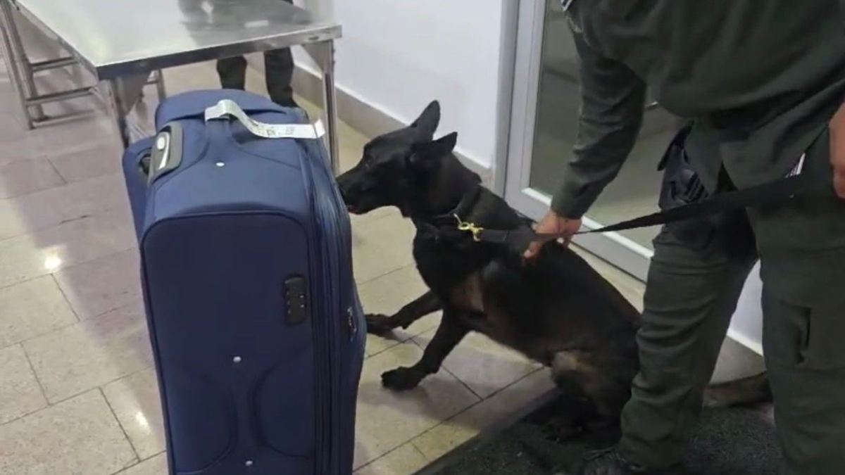 ‘Mule’ cae en el aeropuerto de Cartagena con seis kilos de cocaína escondida en una maleta hacia Europa

 – Tinta clara