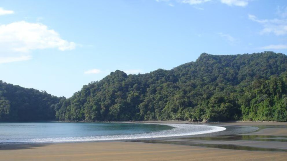 Tres turistas murieron ahogado y uno falta en las playas de Bahía Solano, Departamento de Chocó: Esto es conocido

 – Tinta clara