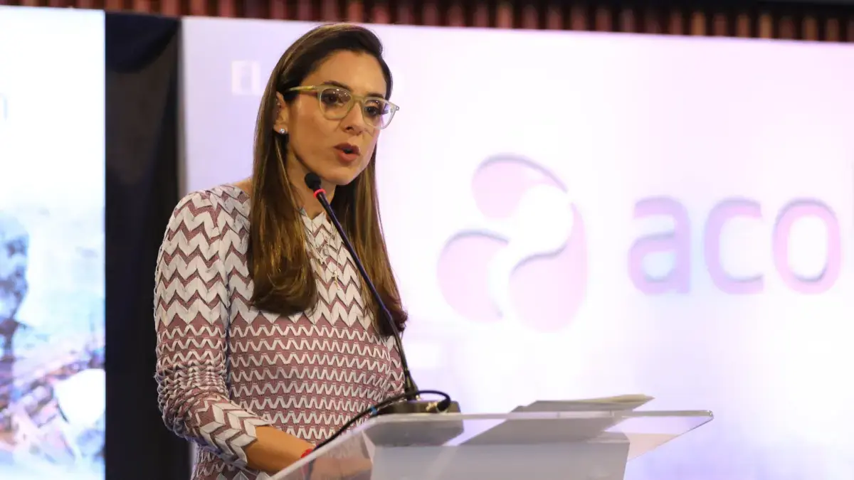 Acolgén le pide al ministro Edwin Palm que revise varias medidas que desalientan el sector eléctrico

 – Tinta clara
